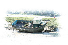 2025-06-02_DSC00395