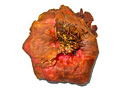 2011-12-21_056