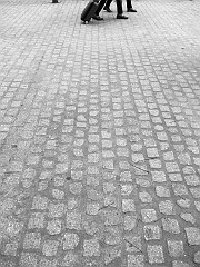 IMG_3162